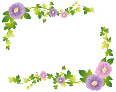 Morning glory arka plan