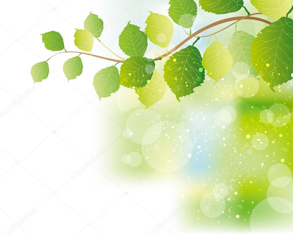 Green leaves background