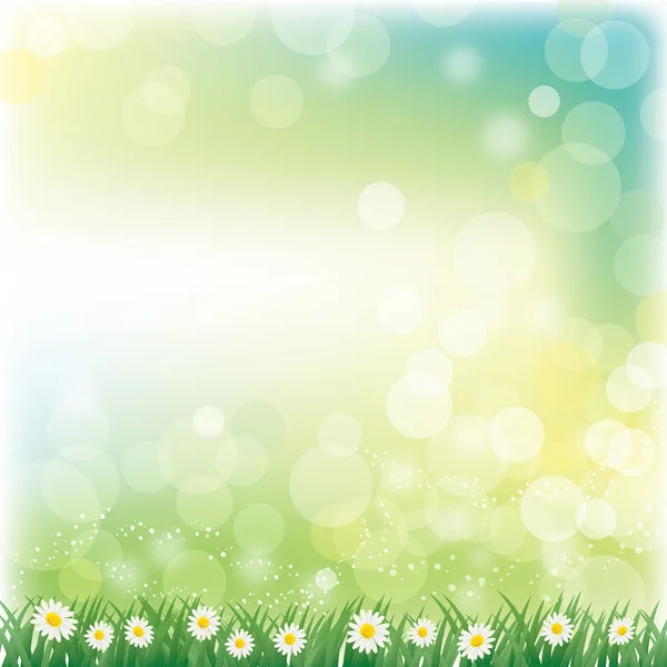 Spring background with daisy — Stock Vector