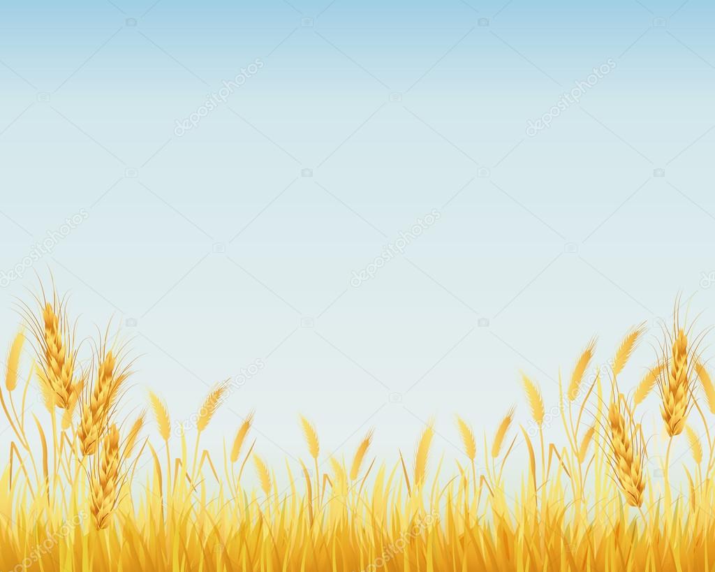 crop background