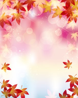 akçaağaç arka plan