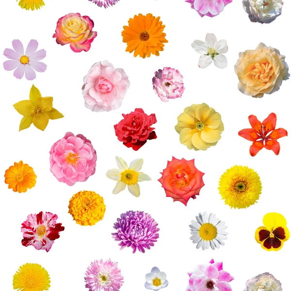 Beyaz arkaplanda çiçekler olan kusursuz desen — Stok fotoğraf