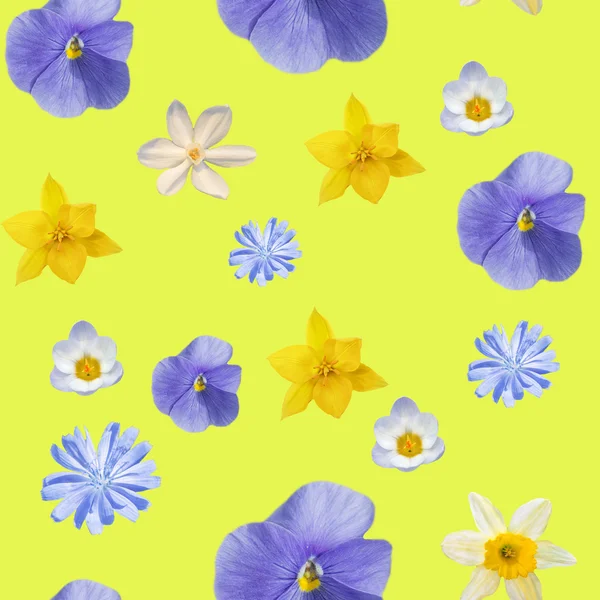 Żółty abstrakcja bezszwowe z kwiatami pansyes — Zdjęcie stockowe