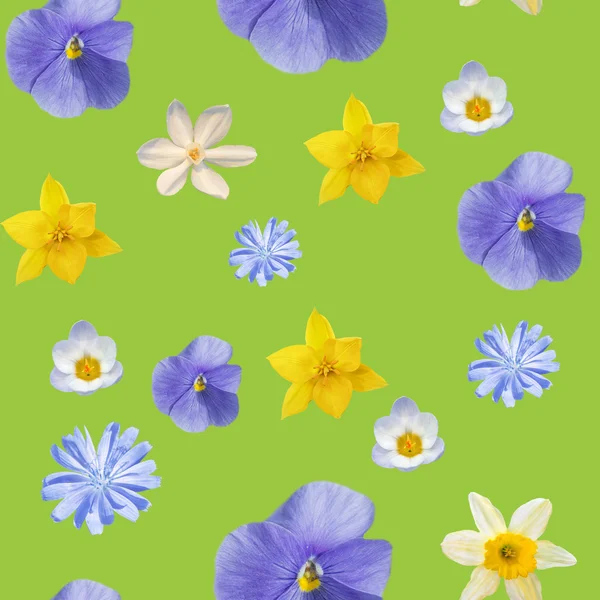 Pansyes çiçekleri ile yeşil soyut seamless modeli