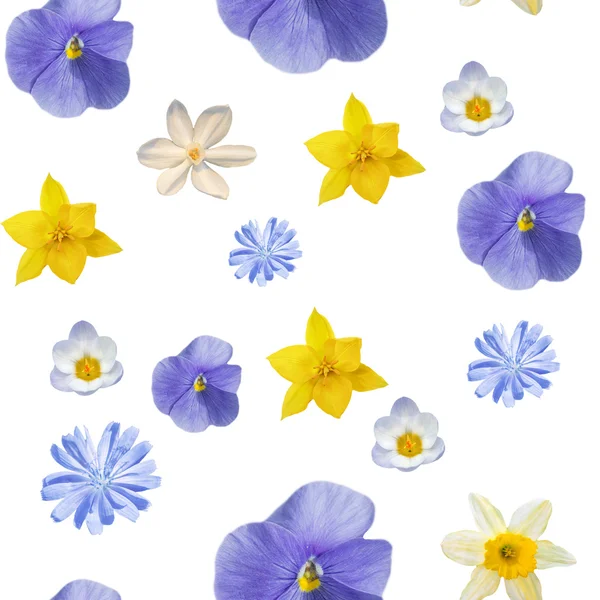 White abstract seamless pattern with flowers of pansyes — Stock Photo, Image