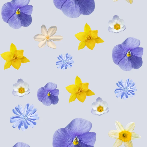 Szara abstrakcja bezszwowe z kwiatami pansyes — Zdjęcie stockowe