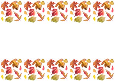 Sonbahar yaprakları, yatay çerçeve