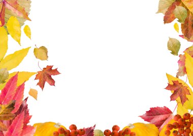 Sonbahar yaprak çerçeve, yatay, açık üst