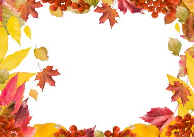 Sonbahar yaprakları, yatay çerçeve