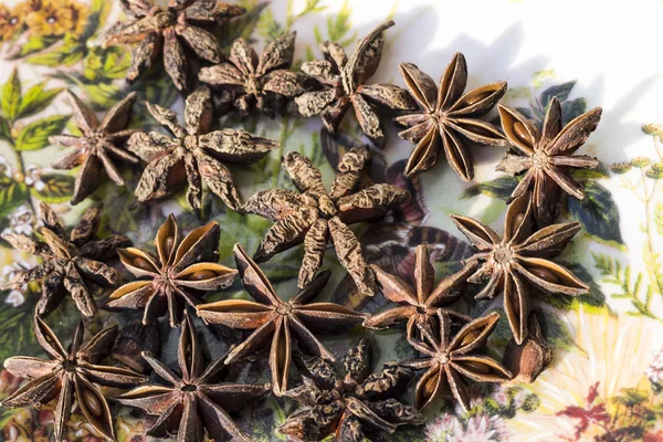 Star anise on a colorful plate with floral embroidery tribe patt — Stock Photo, Image