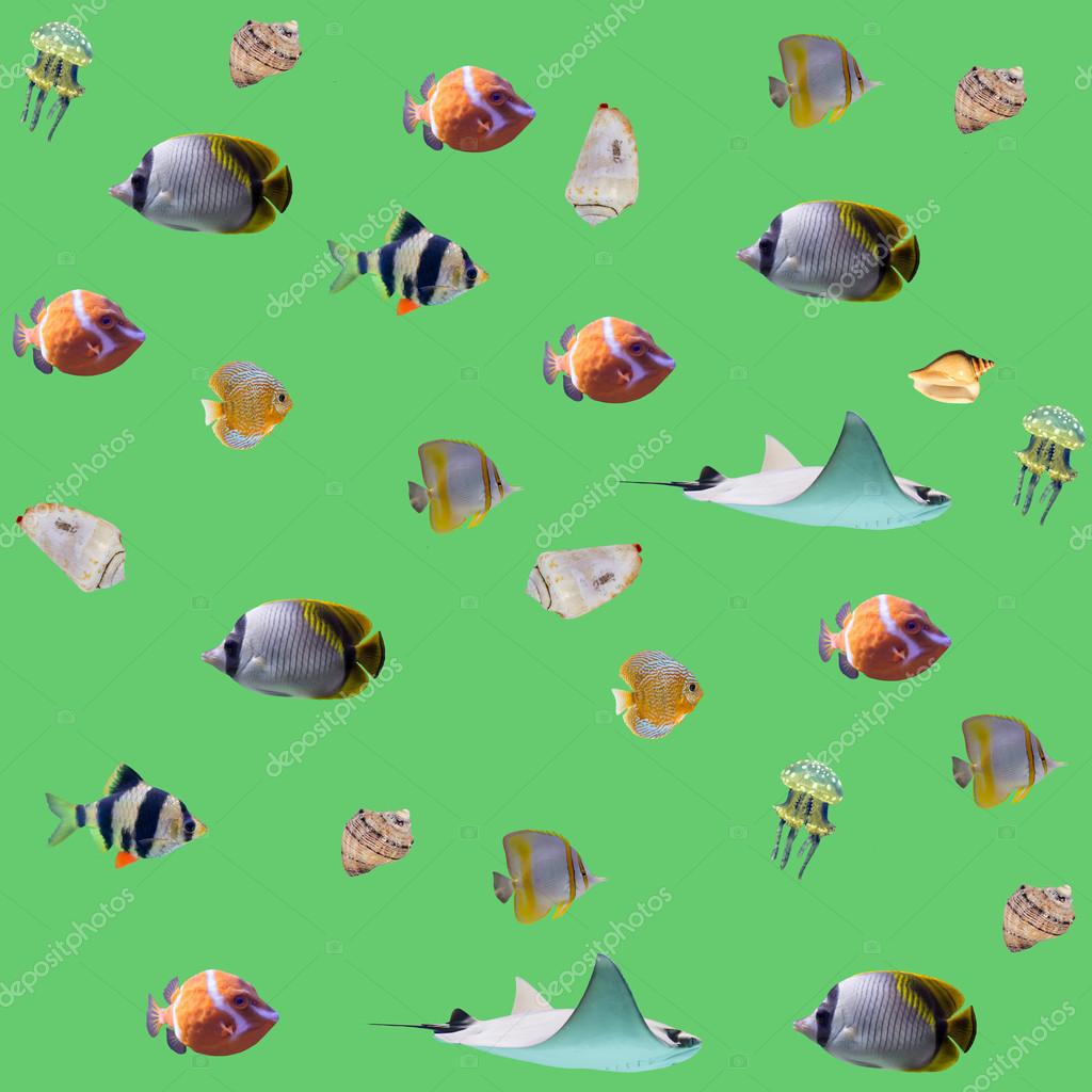 孤立した魚や貝とシームレスな海の背景 ストック写真 C Wasnoch 孤立した魚や貝とシームレスな海の背景 ストック写真 C Wasnoch