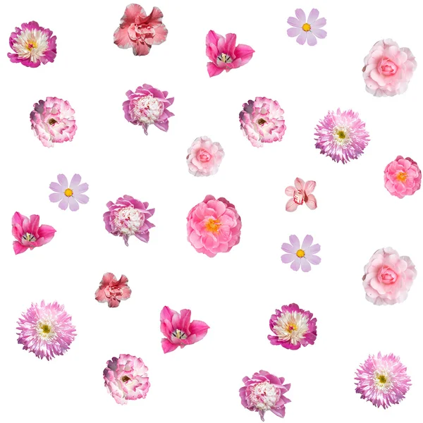 Bezszwowe tło z różowe kwiaty — Zdjęcie stockowe