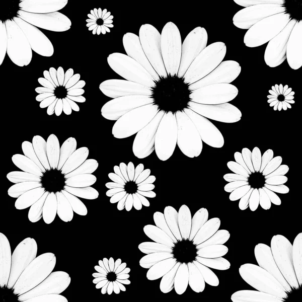 Fundo Sem Costura Com Padrão Floral Margaridas Família Textura Abstrata — Fotografia de Stock