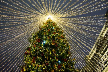 Noel ağacı. Noel kutlamaları. Noel ağacını süsledim. Gece gökyüzüne karşı fidan ağacı. - Rusya. Moskova, Manezhnaya Meydanı.