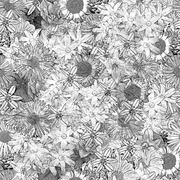 Seamless background with floral pattern. Black and white abstract texture.