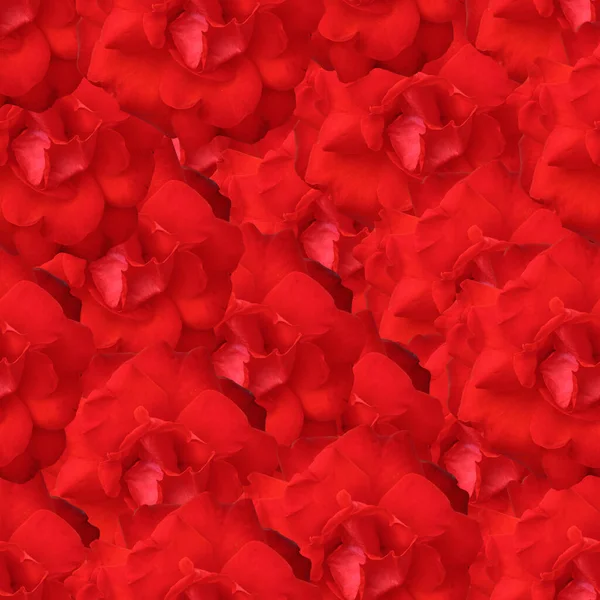 Patrón Rojo Sin Costuras Con Rosas — Foto de Stock