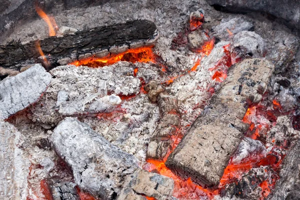 Burning wood, burning fire close-up
