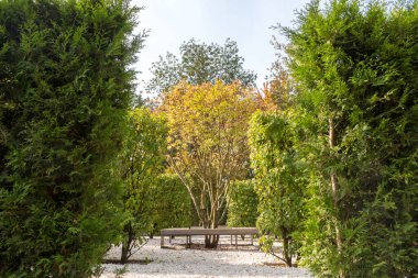 Moskova Parkı 'nda sonbahar manzarası