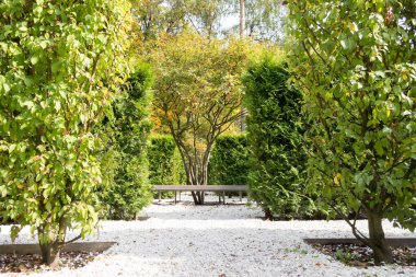 Moskova Parkı 'nda sonbahar manzarası