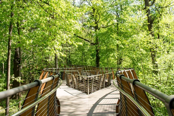 Rusia Moscú Sendero Ecológico Aéreo Entre Coronas Árboles Parque Vdnh — Foto de Stock