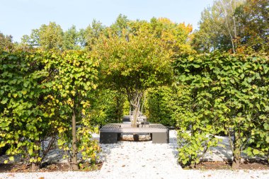 Bir peyzaj parkında, sonbahar manzarasında bırakılmış geniş bir horoz dikeni..