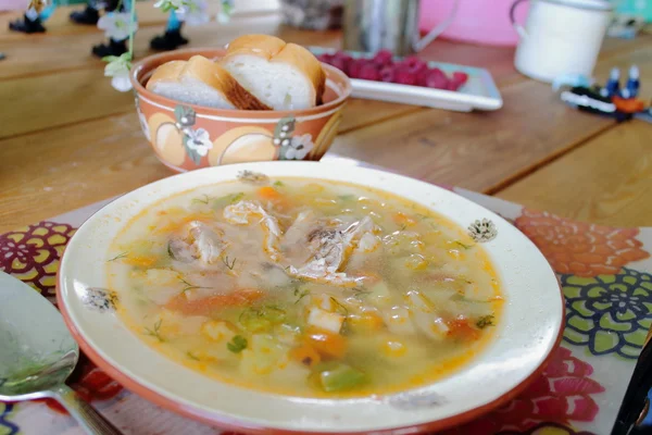 Sup ayam dengan sayuran — Stok Foto
