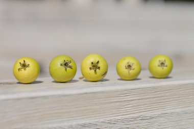 Ahşap arka plan üzerinde beş yeşil meyveler