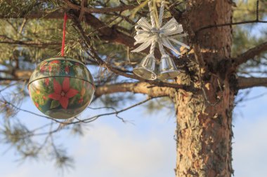 Noel'de süslenen çam ağacı Park