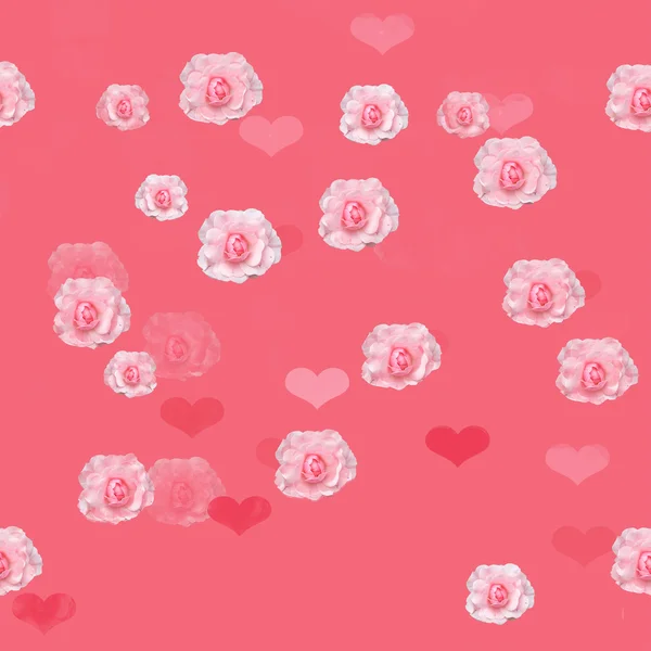 Seamless pattern of roses. — Stock Photo, Image