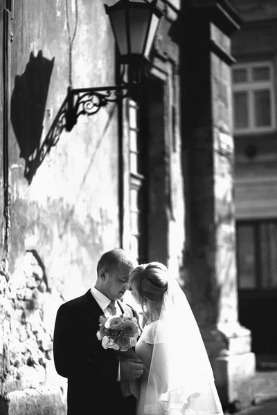 Boldog menyasszony és a vőlegény ünnepli a házasság — Stock Fotó