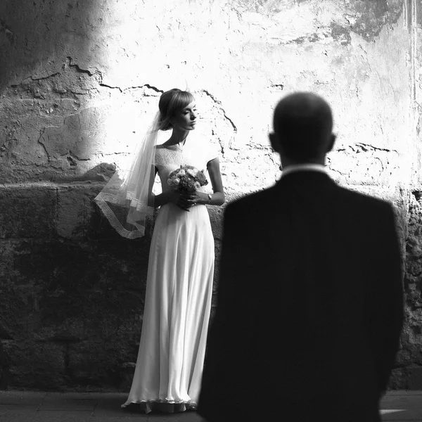 Luxe romantisch gelukkige bruid en bruidegom — Stockfoto