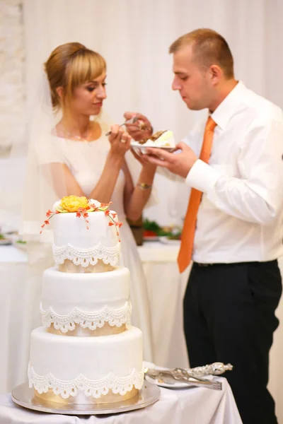 Bruid en bruidegom snijden bruiloft cakei — Stockfoto