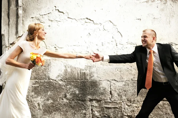 Holding hands bride and groom — Stock Photo, Image