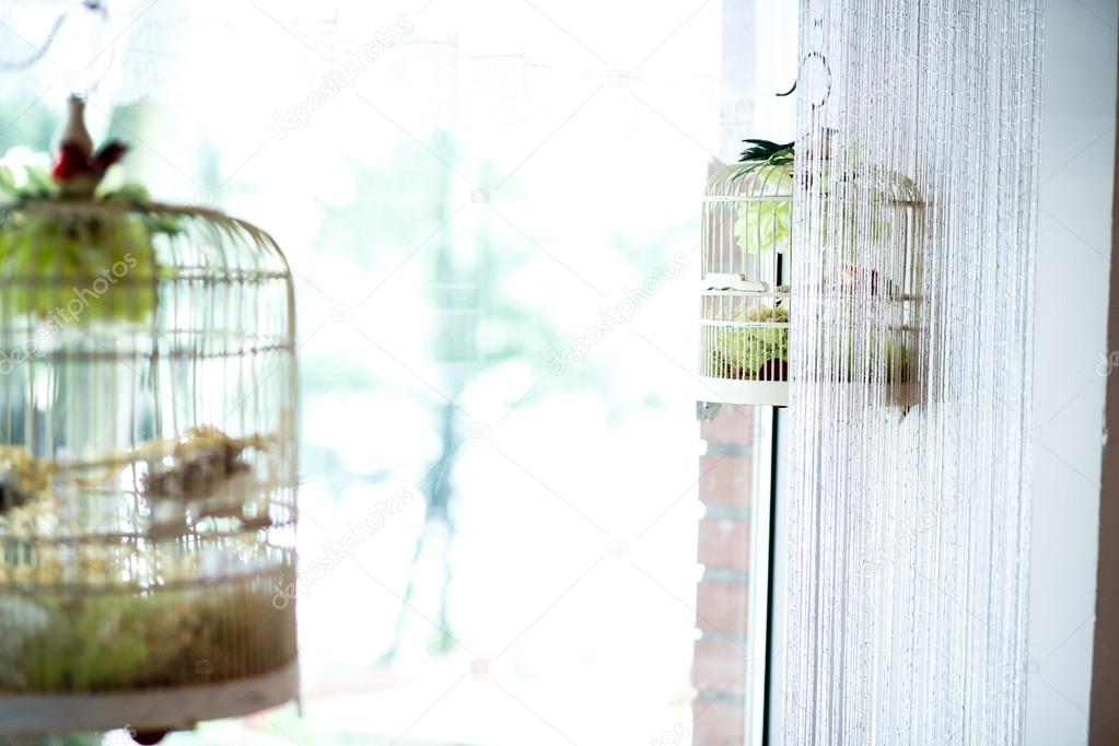 stylish decorated bird cages