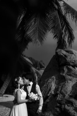 zarif güzel gelin ve damat