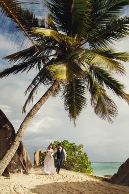 zarif güzel gelin ve damat