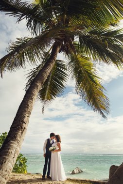 zarif güzel gelin ve damat