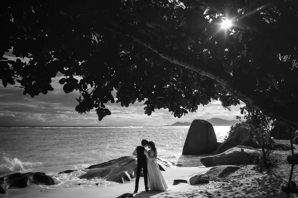 Елегантна розкішна наречена і наречена цілуються — стокове фото