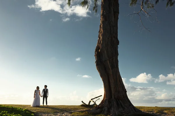 Novia y novio caminando — Foto de Stock