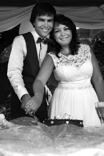 Bride and groom  in the tropical bungalow — Stock Photo, Image