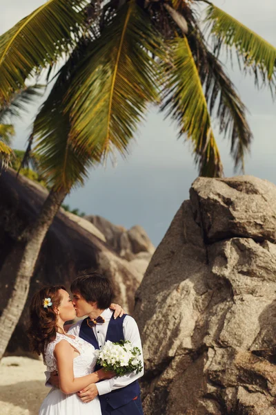 Elegante hermosa novia y novio — Foto de Stock