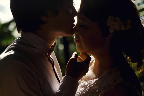 Elegant mireasă superbă și mire sărutat — Fotografie, imagine de stoc