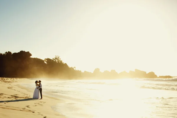 Elegante hermosa novia y novio besándose — Foto de Stock