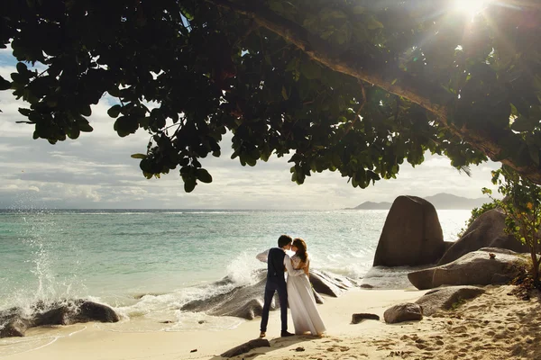 Braut und Bräutigam küssen sich am Strand — Stockfoto