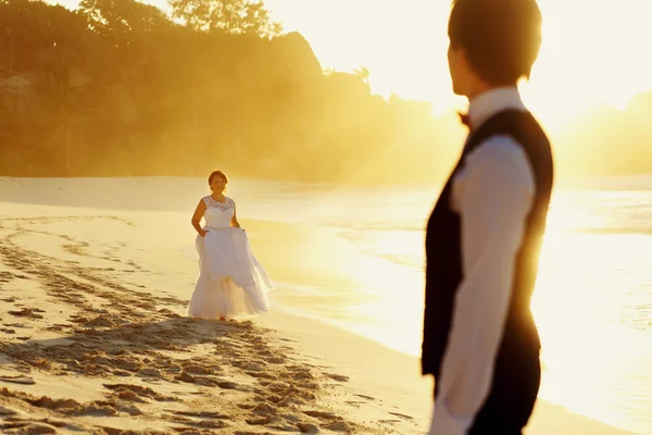 Elegante splendida sposa e lo sposo — Foto Stock