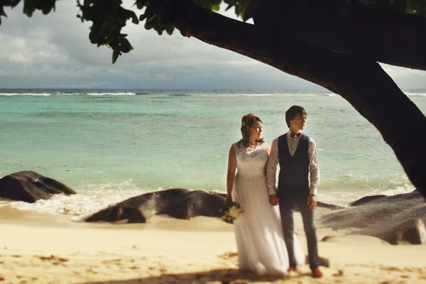 エレガントな豪華な花嫁と花婿 — ストック写真