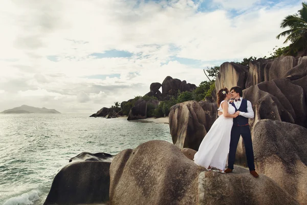 Elegante hermosa novia y novio — Foto de Stock