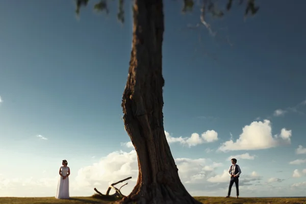 新娘和新郎走近一棵树 — 图库照片