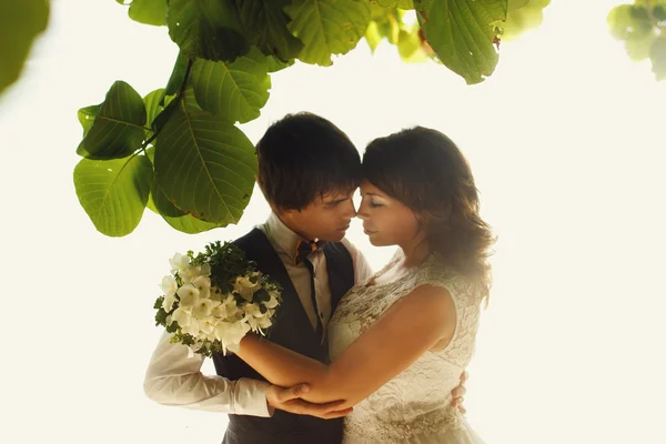 Elegante hermosa novia y novio — Foto de Stock