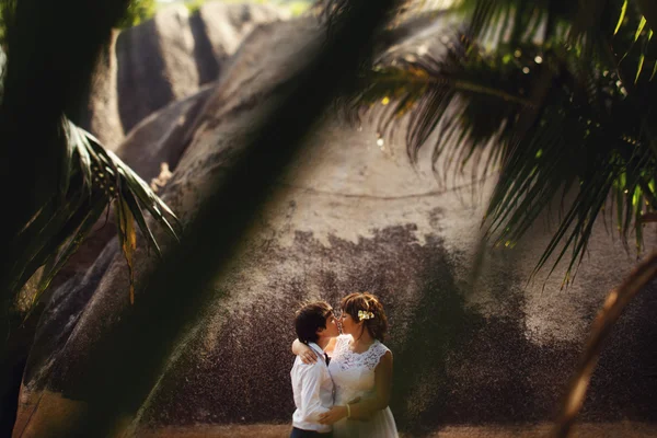 Elegant gorgeous bride and groom — Stock Photo, Image